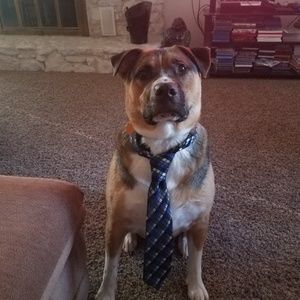 Meet your Posher, Alexus